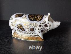 (120) Royal Crown Derby SPOTTY PIG Paperweight # Ltd Ed 372/1500