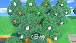 25 Rare Item Trees + 150 NMTs + Royal Crown Animal Crossing New Horizons Stars