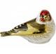 New In Box Royal Crown Derby Goldfinch, 1st Quality, Bone China And 22k Gold