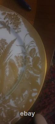 New Royal Crown Derby Gold Aves 12 Service Plate Charger