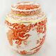 Red Aves Royal Crown Derby Ginger Jar 4.5 Tall New Never Used Made In England