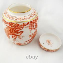 RED AVES Royal Crown Derby Ginger Jar 4.5 tall NEW NEVER USED made in England