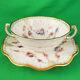 Royal Antoinette By Royal Crown Derby Cream Soup & Stand New Never Used England