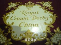 ROYAL CROWN DERBY OLD IMARI Bone China Tea Set NEW, VINTAGE UNUSED