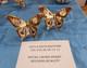Royal Crown Derby 2nd Quality Old Imari Sgb Pair Of Butterflies
