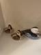 Royal Crown Derby Blue Duck S Paperweight X 5. Stopper. 1991 Also Baby S