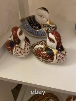 Royal Crown Derby Blue Duck s Paperweight x 5. Stopper. 1991 also baby s