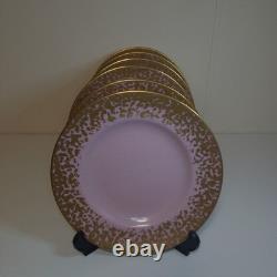 Royal Crown Derby Bruce Oldfield dapple 8.5 set of 6 plates, first, gold pink