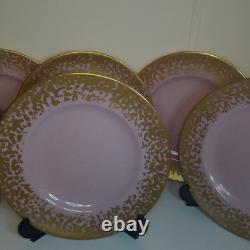 Royal Crown Derby Bruce Oldfield dapple 8.5 set of 6 plates, first, gold pink