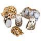 Royal Crown Derby Endangered Species Collection Set Of 6 1st Quality Ex-display