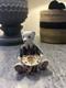 Royal Crown Derby Gift Bear Paperweight Limited Edition