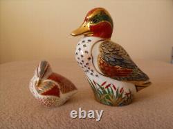Royal Crown Derby Green Winged Teal & Duckling Paperweights Guild Excl Boxed Duo
