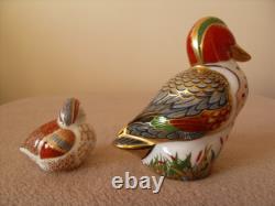 Royal Crown Derby Green Winged Teal & Duckling Paperweights Guild Excl Boxed Duo
