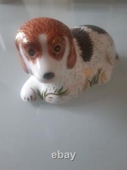 Royal Crown Derby Imari Puppy Belle Paperweight Gold Stopper MMXV with Box