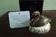 Royal Crown Derby Jubilee Black Swan New In Box