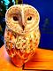 Royal Crown Derby Large Winter Owl Paperweight Gold Stopper Mint In Box