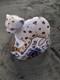 Royal Crown Derby Leopard Cub With Gold Stopper Certificate And Original Box