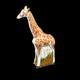 Royal Crown Derby Masai Giraffe Paperweight