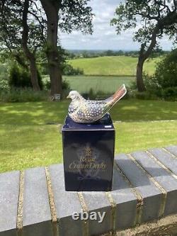 Royal Crown Derby Millennium Dove