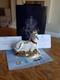 Royal Crown Derby Mythical Unicorn Paperweight Limited Edition Signed
