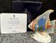 Royal Crown Derby Pacific Angel Fish Limited Edition Porcelain Figurine, Box