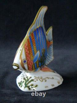 Royal Crown Derby Pacific Angel Fish Ltd Edition 737 Of 2500 Rcd Box Certificate