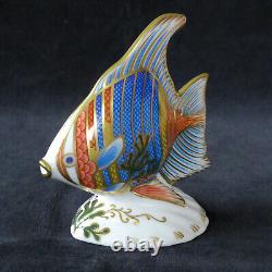 Royal Crown Derby Pacific Angel Fish Ltd Edition 737 Of 2500 Rcd Box Certificate