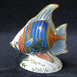 Royal Crown Derby Pacific Angel Fish Ltd Edition 737 Of 2500 Rcd Box Certificate