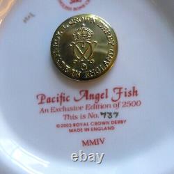 Royal Crown Derby Pacific Angel Fish Ltd Edition 737 Of 2500 Rcd Box Certificate