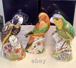 Royal Crown Derby Paperweight. Amazon Green, Bronze Winged Parrots & Lorikeet