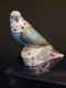 Royal Crown Derby Paperweight Gold Stopper Sky Blue Budgerigar Limited Edition
