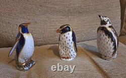 Royal Crown Derby Paperweight Penguin Trio Gold Stoppers. Limited Edition