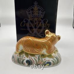 Royal Crown Derby Paperweight SLEEPY LION CUB Boxed