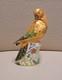Royal Crown Derby Paperweight Sun Parakeet. Gold Stopper