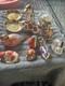Royal Crown Derby Paperweights Job Lot Collection