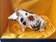 Royal Crown Derby Prudence Pig Moneybox Paperweight
