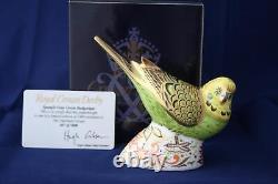 Royal Crown Derby Spangle Grey Green Budgerigar Paperweight New / Boxed