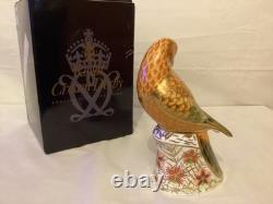 Royal Crown Derby Sun Parakeet Paperweight