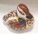 Royal Crown Derby Swimming Duckling Paperweight Height 6cm