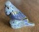 Royal Crown Derby Violet Budgerigar. 1st Quality Gold Stopper & Box. 2009. Rare