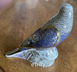 Royal Crown Derby Violet Budgerigar. 1st quality gold stopper & box. 2009. Rare