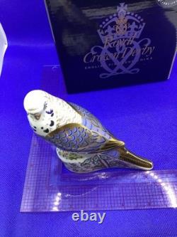 Royal Crown Derby Violet Budgerigar. 1st quality gold stopper & box. 2009. Rare