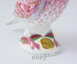 Royal Crown Derby War Pigeon Commemorative Limited Edition Paperweight New