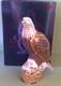 Royal Crown Derby White Tailed Sea Eagle Paperweight Gold Stopper Boxed