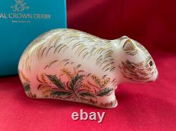 Royal Crown Derby, Wombat As NewithBoxed