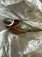 Royal Crown Derby Woodland Pheasant Paperweight Gold Stopper Boxed 1999