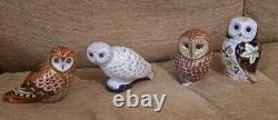 Royal Crown Derby paperweight Owl Collection. Limited Edition. Gold Stoppers Box