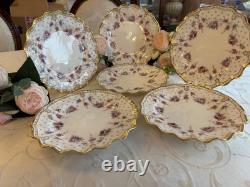 Royal crown derby Antoinette 10 inch dinner plates x 6
