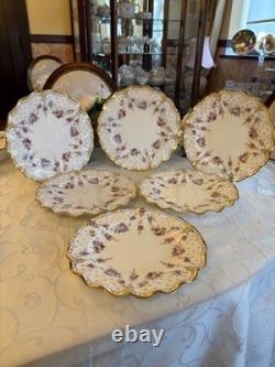 Royal crown derby Antoinette 10 inch dinner plates x 6