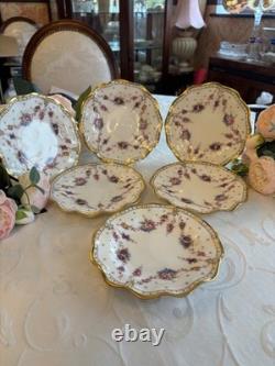 Royal crown derby Antoinette 10 inch dinner plates x 6